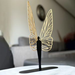 Believe in your wings